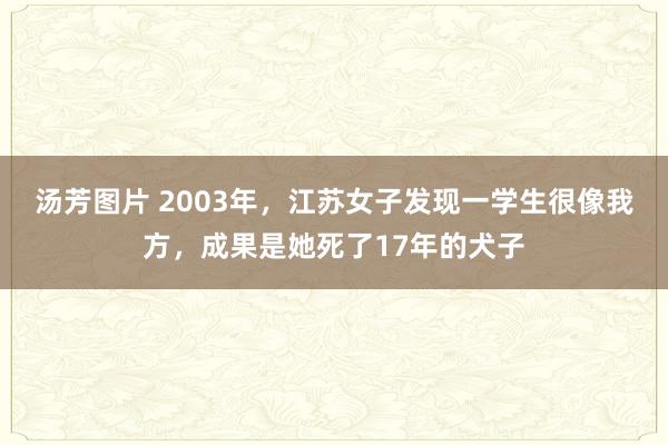 汤芳图片 2003年，江苏女子发现一学生很像我方，成果是她死了17年的犬子