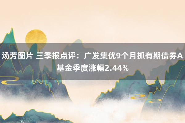 汤芳图片 三季报点评：广发集优9个月抓有期债券A基金季度涨幅2.44%