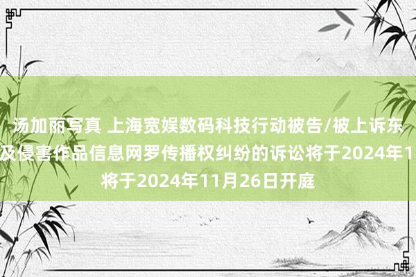 汤加丽写真 上海宽娱数码科技行动被告/被上诉东谈主的1起波及侵害作品信息网罗传播权纠纷的诉讼将于2024年11月26日开庭