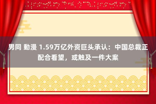 男同 動漫 1.59万亿外资巨头承认：中国总裁正配合看望，或触及一件大案