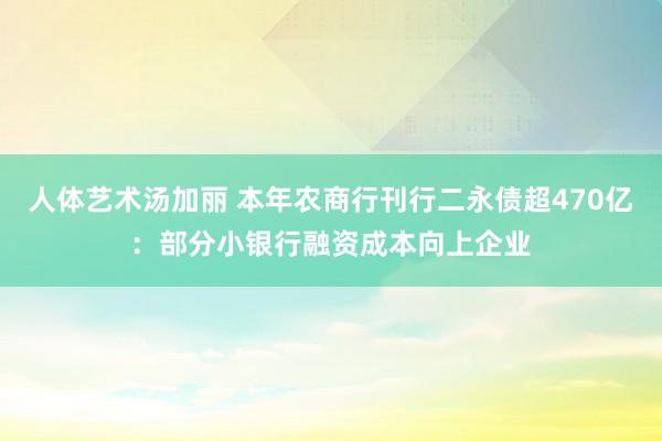 人体艺术汤加丽 本年农商行刊行二永债超470亿：部分小银行融资成本向上企业