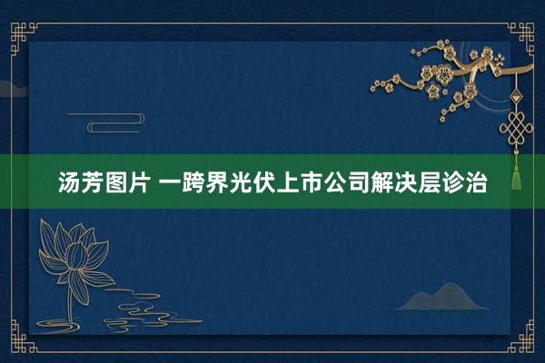 汤芳图片 一跨界光伏上市公司解决层诊治