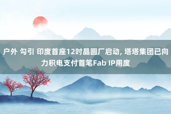 户外 勾引 印度首座12吋晶圆厂启动， 塔塔集团已向力积电支付首笔Fab IP用度