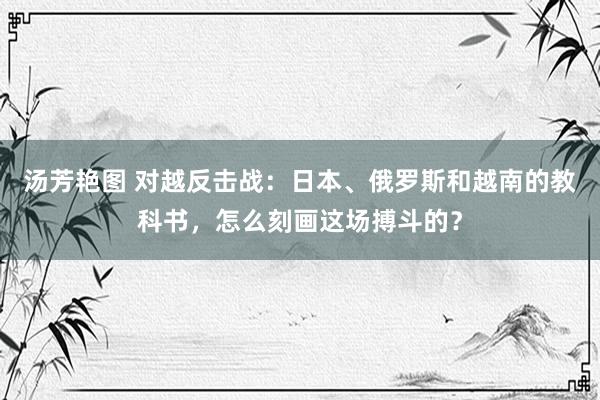 汤芳艳图 对越反击战：日本、俄罗斯和越南的教科书，怎么刻画这场搏斗的？