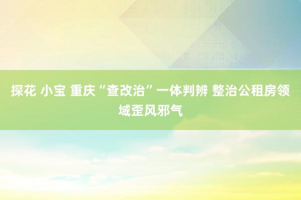 探花 小宝 重庆“查改治”一体判辨 整治公租房领域歪风邪气