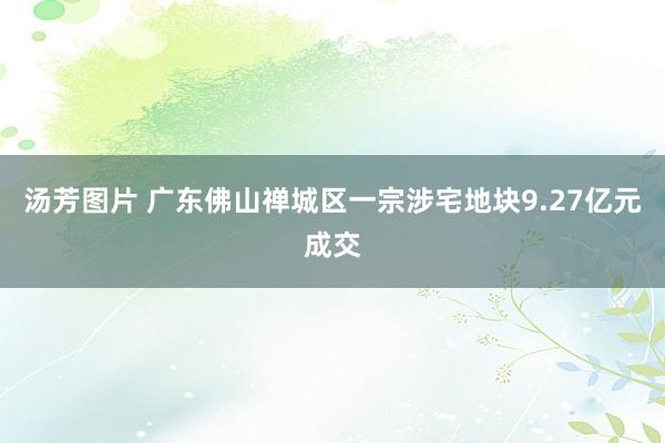 汤芳图片 广东佛山禅城区一宗涉宅地块9.27亿元成交