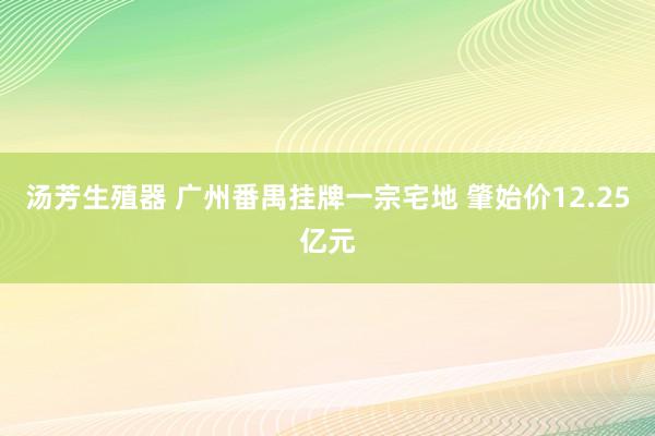 汤芳生殖器 广州番禺挂牌一宗宅地 肇始价12.25亿元