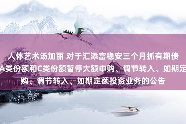 人体艺术汤加丽 对于汇添富稳安三个月抓有期债券型证券投资基金A类份额和C类份额暂停大额申购、调节转入、如期定额投资业务的公告