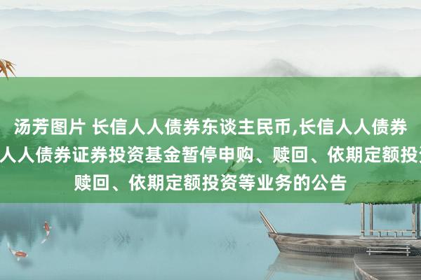 汤芳图片 长信人人债券东谈主民币，长信人人债券好意思元: 长信人人债券证券投资基金暂停申购、赎回、依期定额投资等业务的公告