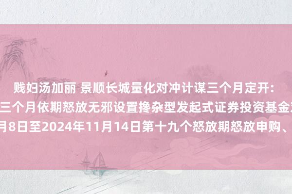 贱妇汤加丽 景顺长城量化对冲计谋三个月定开: 景顺长城量化对冲计谋三个月依期怒放无邪设置搀杂型发起式证券投资基金对于2024年11月8日至2024年11月14日第十九个怒放期怒放申购、赎回及调遣业务和规模适度安排的公告