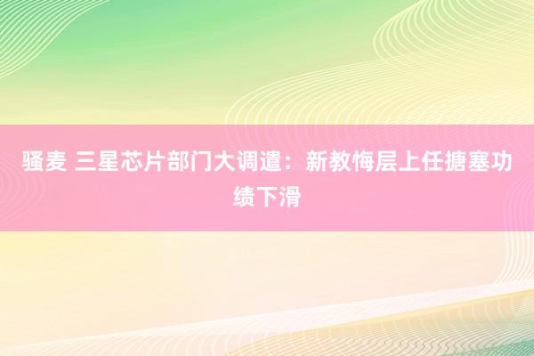 骚麦 三星芯片部门大调遣：新教悔层上任搪塞功绩下滑