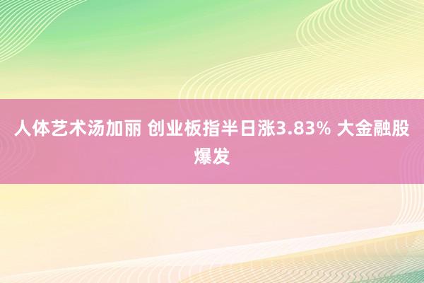 人体艺术汤加丽 创业板指半日涨3.83% 大金融股爆发