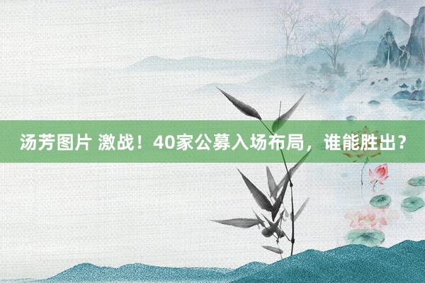 汤芳图片 激战！40家公募入场布局，谁能胜出？