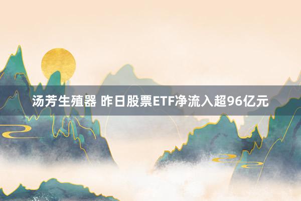 汤芳生殖器 昨日股票ETF净流入超96亿元