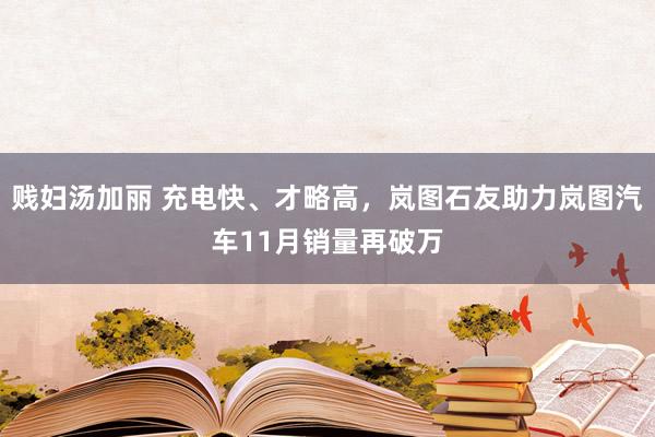 贱妇汤加丽 充电快、才略高，岚图石友助力岚图汽车11月销量再破万