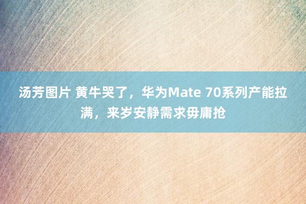 汤芳图片 黄牛哭了，华为Mate 70系列产能拉满，来岁安静需求毋庸抢