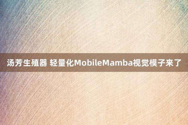 汤芳生殖器 轻量化MobileMamba视觉模子来了