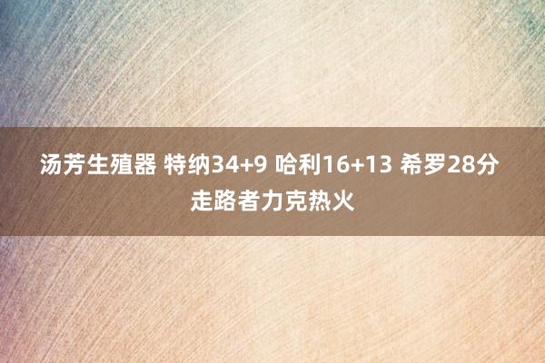 汤芳生殖器 特纳34+9 哈利16+13 希罗28分 走路者力克热火