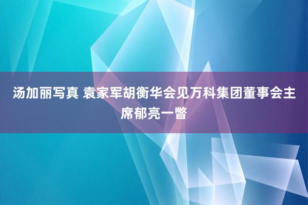 汤加丽写真 袁家军胡衡华会见万科集团董事会主席郁亮一瞥