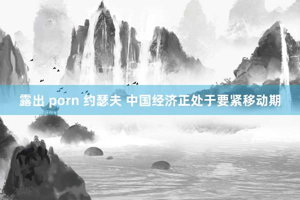 露出 porn 约瑟夫 中国经济正处于要紧移动期