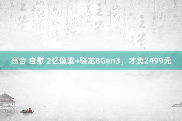 高合 自慰 2亿像素+骁龙8Gen3，才卖2499元