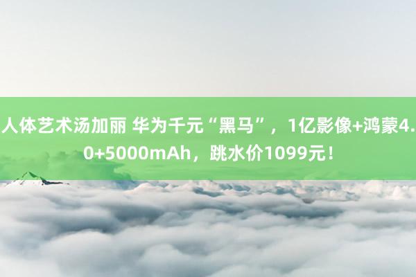 人体艺术汤加丽 华为千元“黑马”，1亿影像+鸿蒙4.0+5000mAh，跳水价1099元！