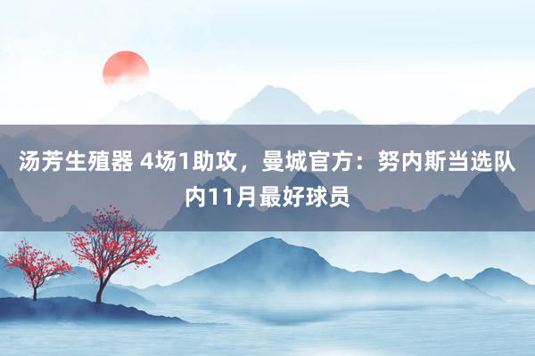 汤芳生殖器 4场1助攻，曼城官方：努内斯当选队内11月最好球员