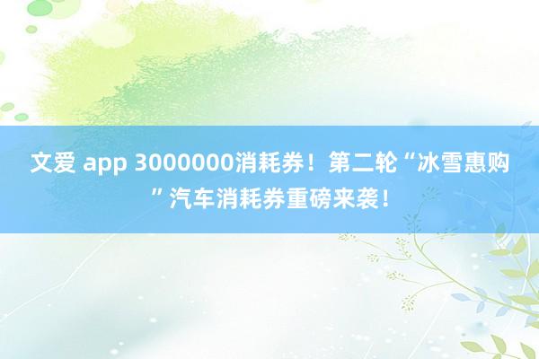 文爱 app 3000000消耗券！第二轮“冰雪惠购”汽车消耗券重磅来袭！