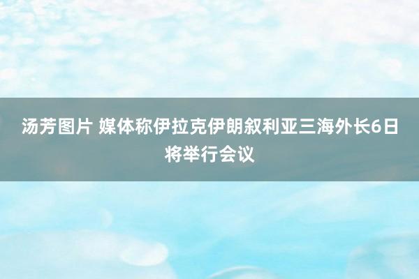 汤芳图片 媒体称伊拉克伊朗叙利亚三海外长6日将举行会议