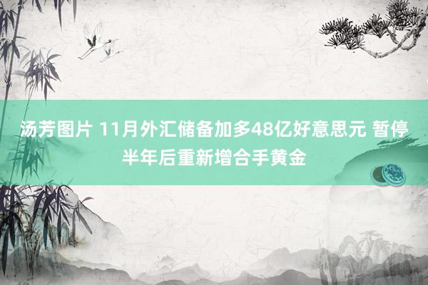 汤芳图片 11月外汇储备加多48亿好意思元 暂停半年后重新增合手黄金