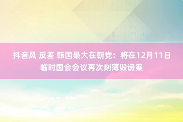 抖音风 反差 韩国最大在朝党：将在12月11日临时国会会议再次刻薄毁谤案