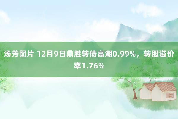 汤芳图片 12月9日鼎胜转债高潮0.99%，转股溢价率1.76%