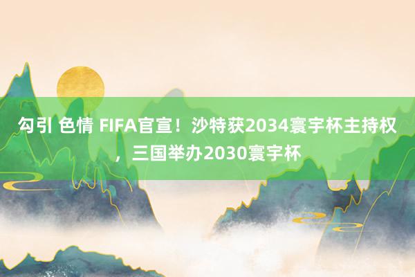 勾引 色情 FIFA官宣！沙特获2034寰宇杯主持权，三国举办2030寰宇杯