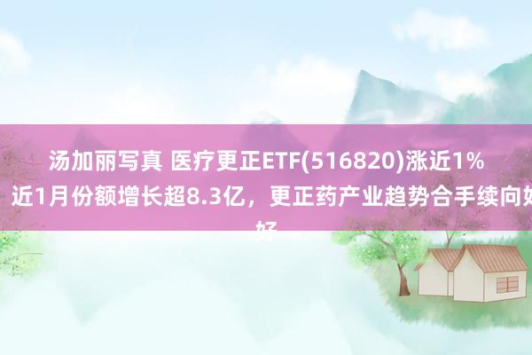 汤加丽写真 医疗更正ETF(516820)涨近1%，近1月份额增长超8.3亿，更正药产业趋势合手续向好