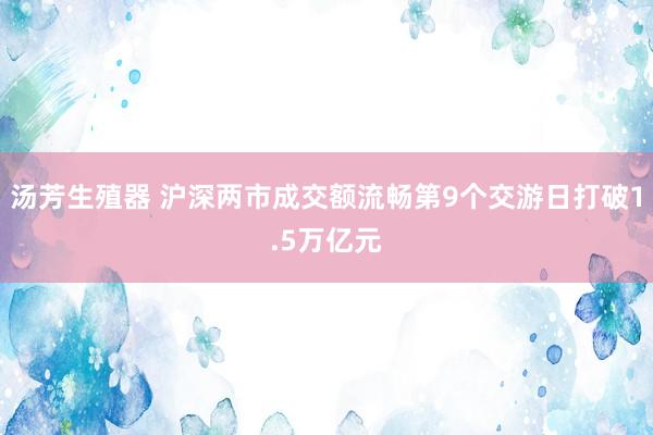 汤芳生殖器 沪深两市成交额流畅第9个交游日打破1.5万亿元