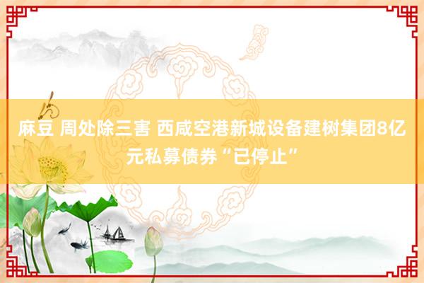 麻豆 周处除三害 西咸空港新城设备建树集团8亿元私募债券“已停止”