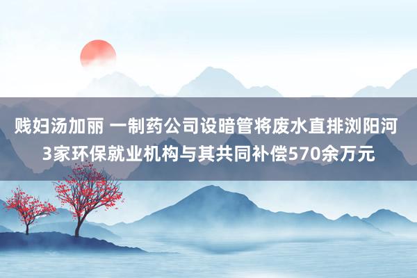 贱妇汤加丽 一制药公司设暗管将废水直排浏阳河 3家环保就业机构与其共同补偿570余万元