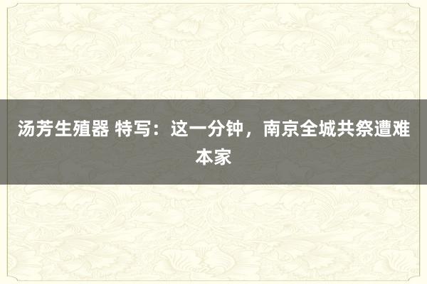 汤芳生殖器 特写：这一分钟，南京全城共祭遭难本家