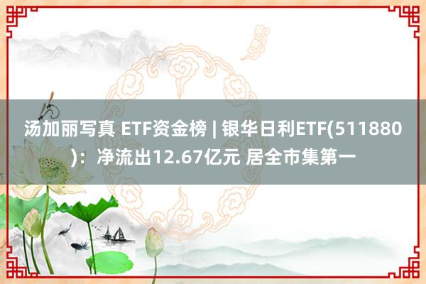 汤加丽写真 ETF资金榜 | 银华日利ETF(511880)：净流出12.67亿元 居全市集第一