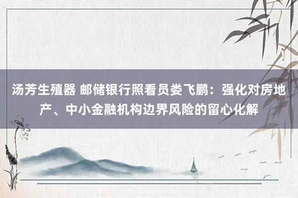 汤芳生殖器 邮储银行照看员娄飞鹏：强化对房地产、中小金融机构边界风险的留心化解