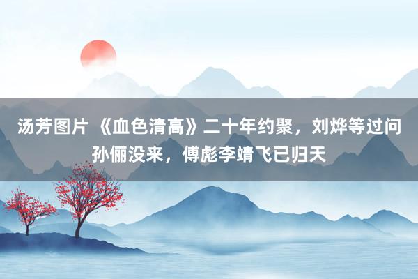 汤芳图片 《血色清高》二十年约聚，刘烨等过问孙俪没来，傅彪李靖飞已归天