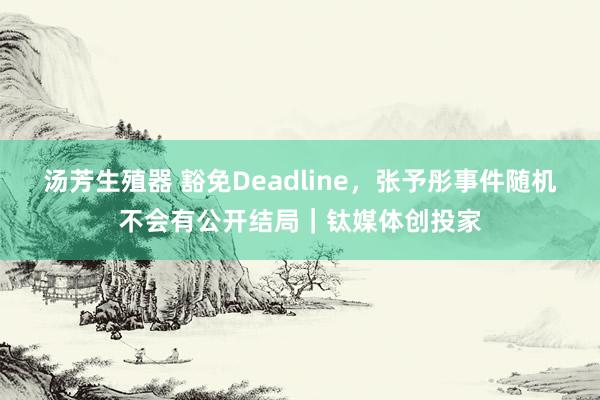 汤芳生殖器 豁免Deadline，张予彤事件随机不会有公开结局｜钛媒体创投家