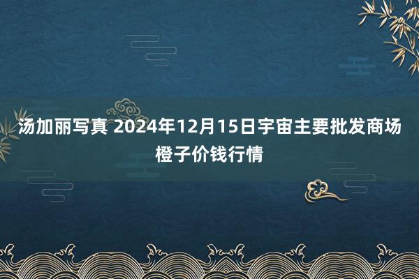 汤加丽写真 2024年12月15日宇宙主要批发商场橙子价钱行情