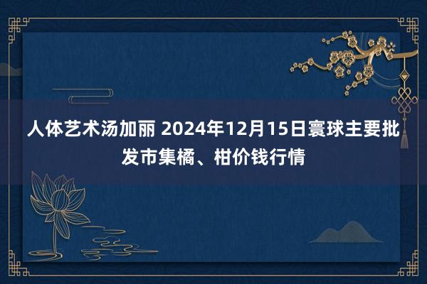 人体艺术汤加丽 2024年12月15日寰球主要批发市集橘、柑价钱行情