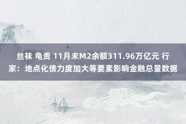 丝袜 龟责 11月末M2余额311.96万亿元 行家：地点化债力度加大等要素影响金融总量数据