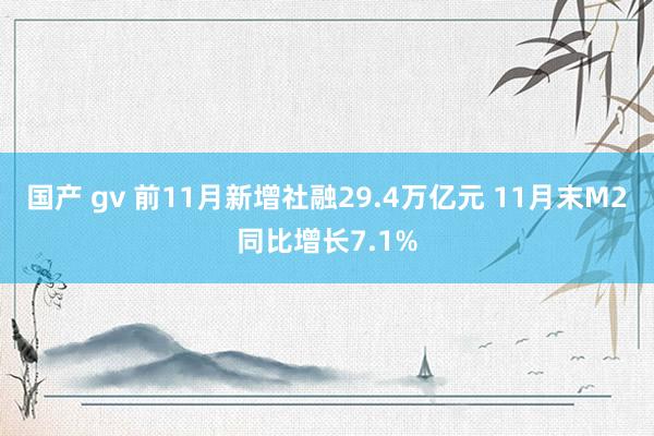 国产 gv 前11月新增社融29.4万亿元 11月末M2同比增长7.1%