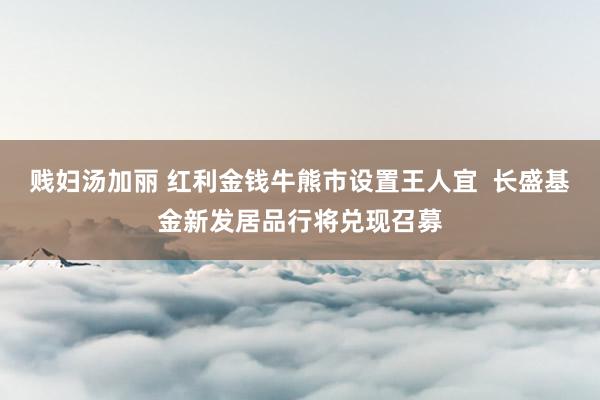 贱妇汤加丽 红利金钱牛熊市设置王人宜  长盛基金新发居品行将兑现召募