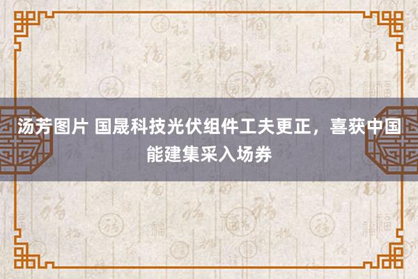 汤芳图片 国晟科技光伏组件工夫更正，喜获中国能建集采入场券