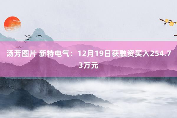 汤芳图片 新特电气：12月19日获融资买入254.73万元