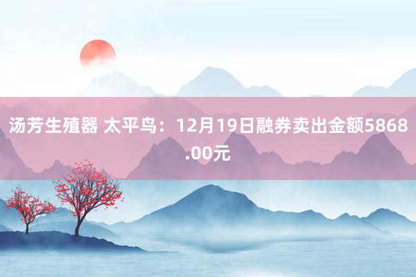 汤芳生殖器 太平鸟：12月19日融券卖出金额5868.00元